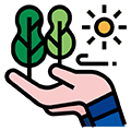 Sustainable Livelihoods 