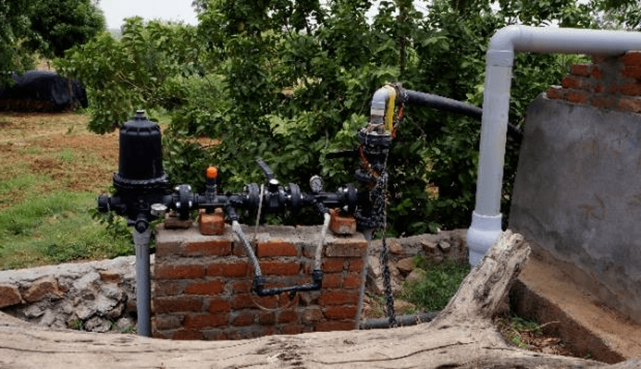 High value Vegetable cultivation, Dairy and Hortic