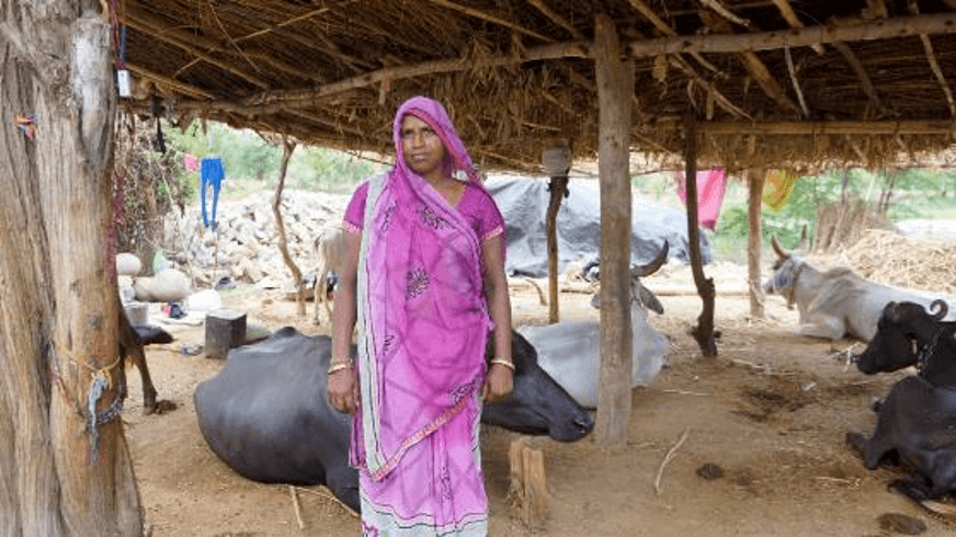 Smt. Manjulaben Rameshbhai, Ratanpur Village 