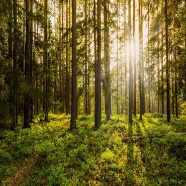 Environment  and Climate Change