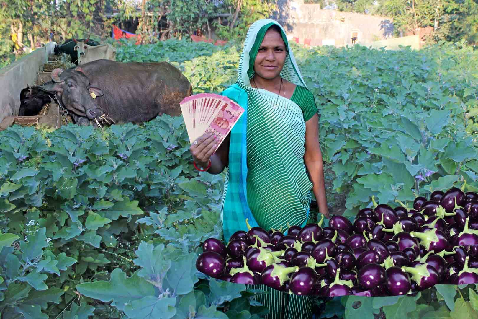Land and Water Management